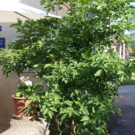 Apartment Krnica N43 Εξωτερικό φωτογραφία