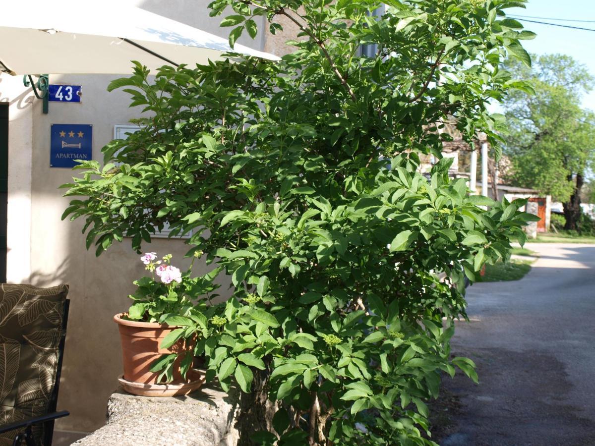 Apartment Krnica N43 Εξωτερικό φωτογραφία